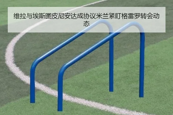 维拉与埃斯图皮尼安达成协议米兰紧盯格雷罗转会动态